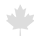  UAE flag  maple-leaf logo