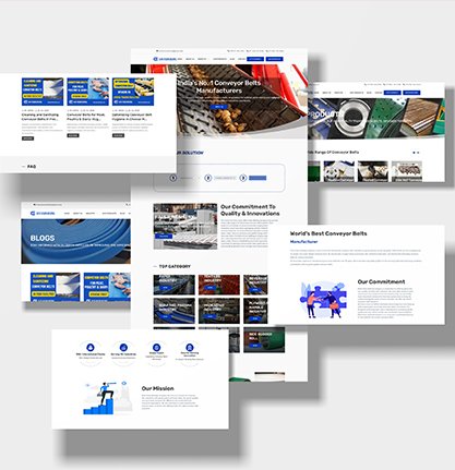 Website Design and Development in Ludhiana