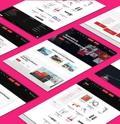 Website Design and Development in Ludhiana
